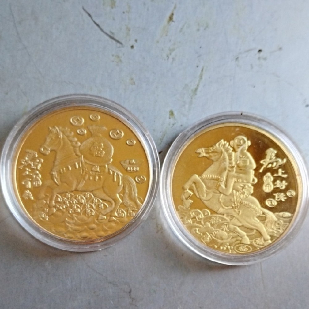 Mint Cases Gold Coin Pair with Horse Design